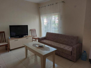Simple Apartment